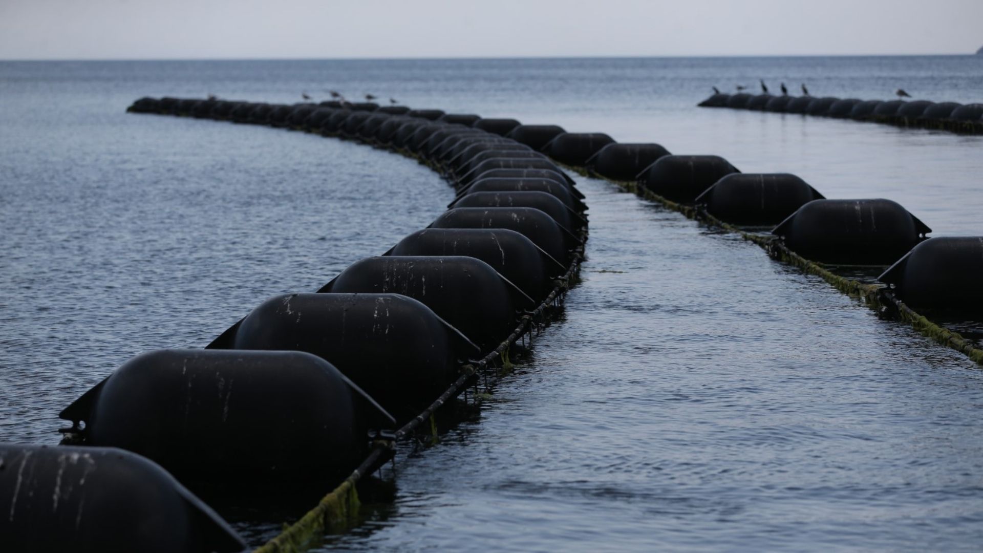Birliğin Çalışma Konuları