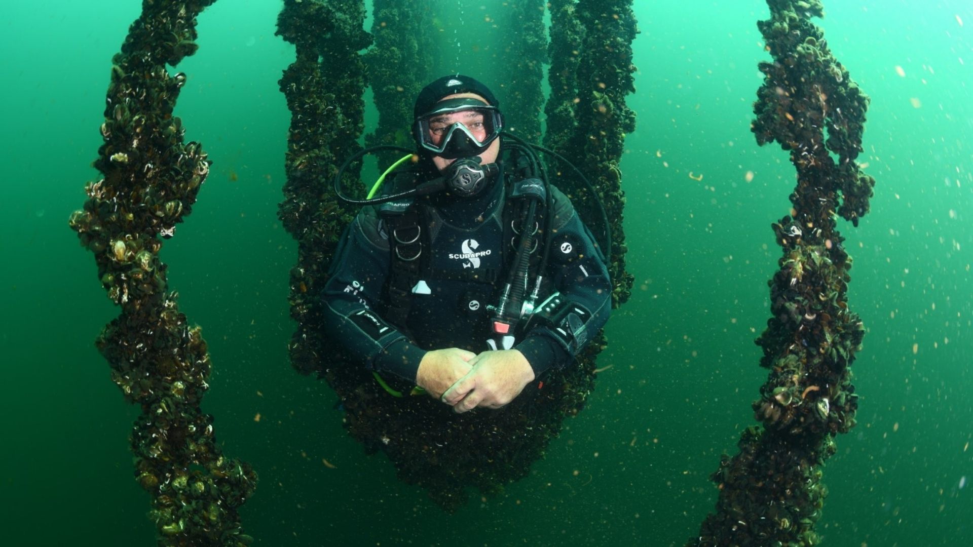 Bilgi Paylaşıldıkça Büyür, Üretim Güçlendikçe Gelişir